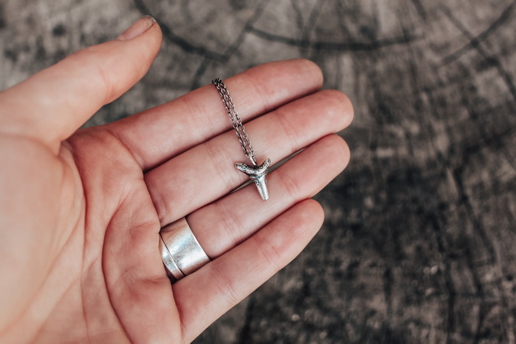 Mini Otodus Sharks Tooth Necklace