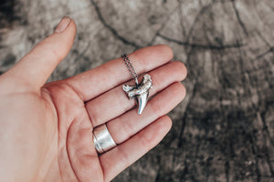 Large Otodus Sharks Tooth Necklace